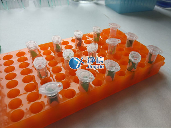 ����ͨ����֯��ĥ�� 