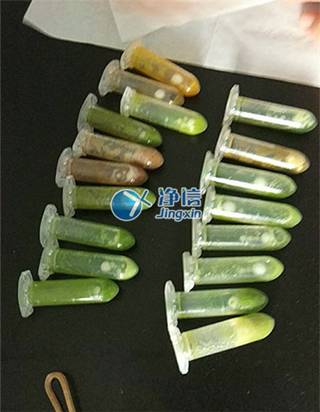 ����ͨ����֯��ĥ�� 