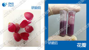 多样品组织研磨机-FEIII